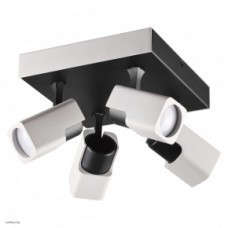 Светильник Odeon Light DARAVIS 3491/4CA