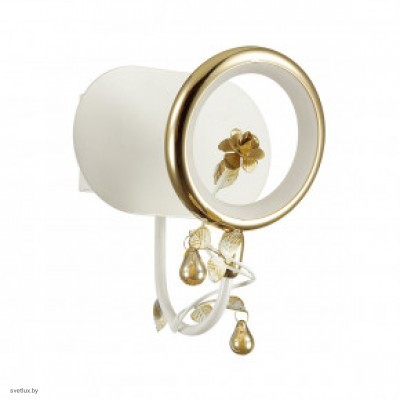 Светильник Odeon Light FIUGGI 4036/6WL