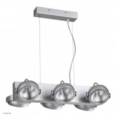 Светильник Odeon Light FLABUNA 3494/60L