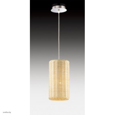 Светильник Odeon Light GORZE 2630/1