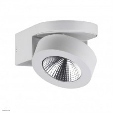 Светильник Odeon Light LACONIS 3538/1WL