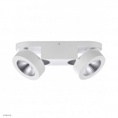 Светильник Odeon Light LACONIS 3538/2LC
