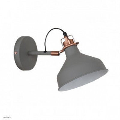 Светильник Odeon Light LURDI 3330/1W