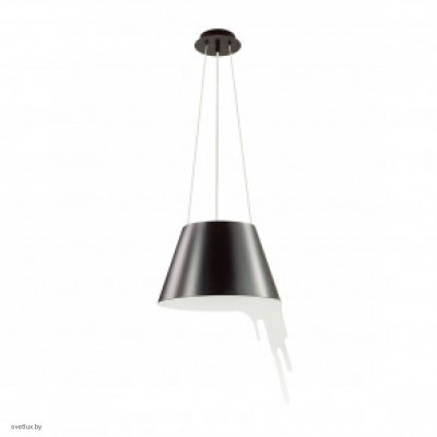 Светильник Odeon Light MAESTRO 3979/1
