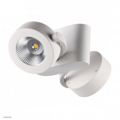 Светильник Odeon Light PUMAVI 3493/20CL