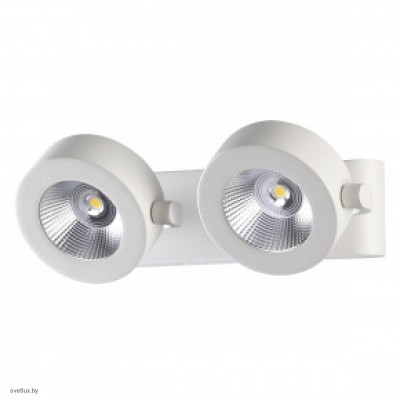 Светильник Odeon Light PUMAVI 3493/20WL