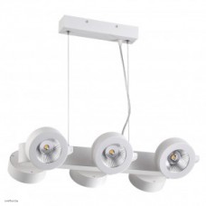 Светильник Odeon Light PUMAVI 3493/60L