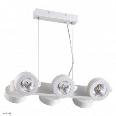 Светильник Odeon Light PUMAVI 3493/60L