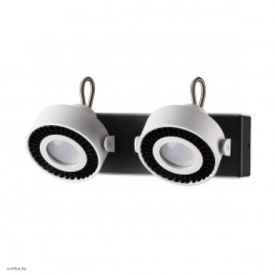 Светильник Odeon Light SATELIUM 3490/2W