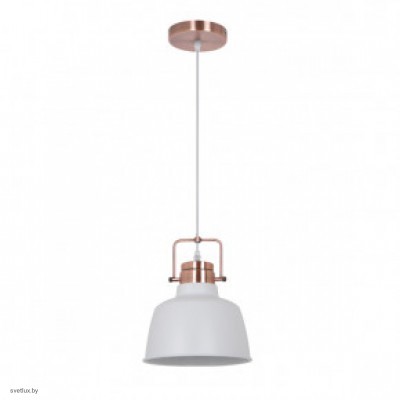 Светильник Odeon Light SERT 3324/1