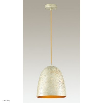 Светильник Odeon Light VEKI 3300/1